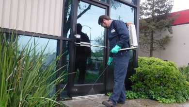 شركة مكافحة حشرات بالقصيم