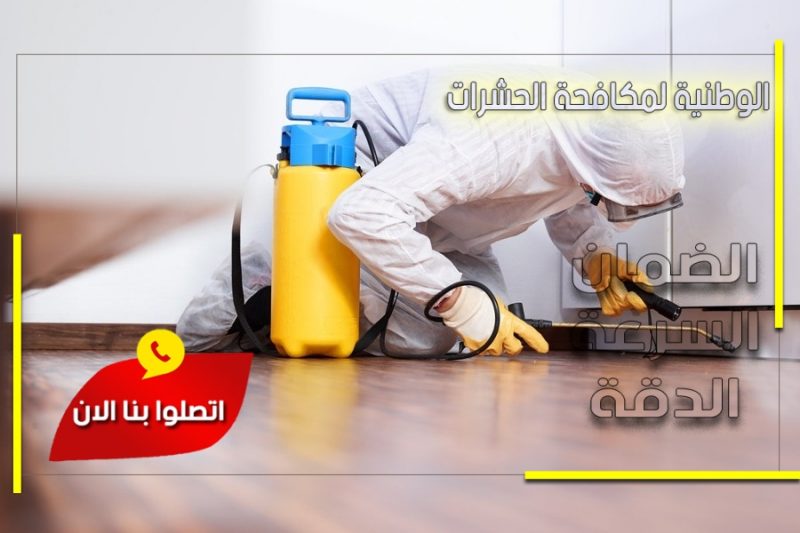 شركة مكافحة حشرات بالخرج
