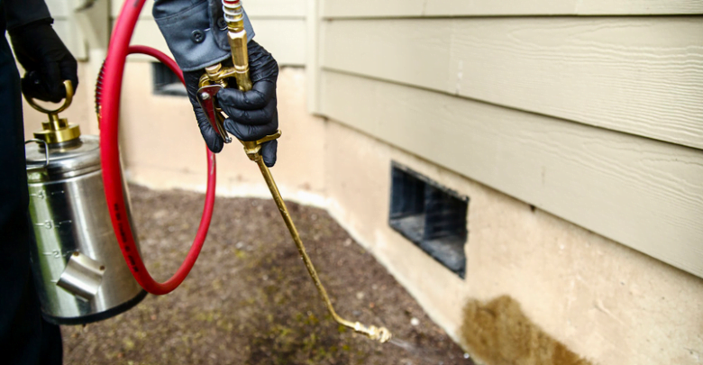 مكافحة حشرات بالرياض