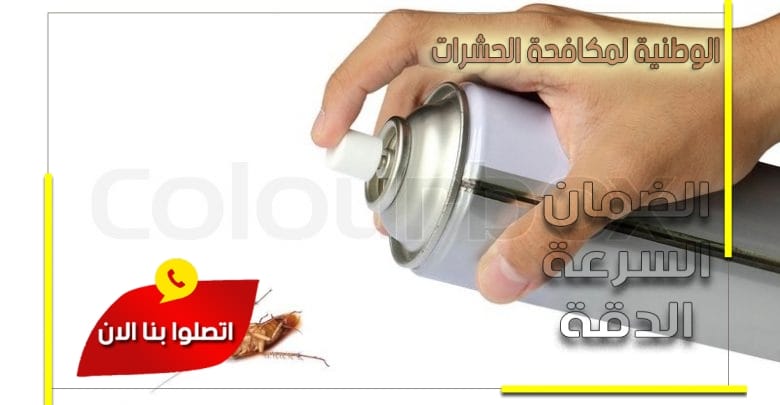 شركة رش مبيدات بحائل
