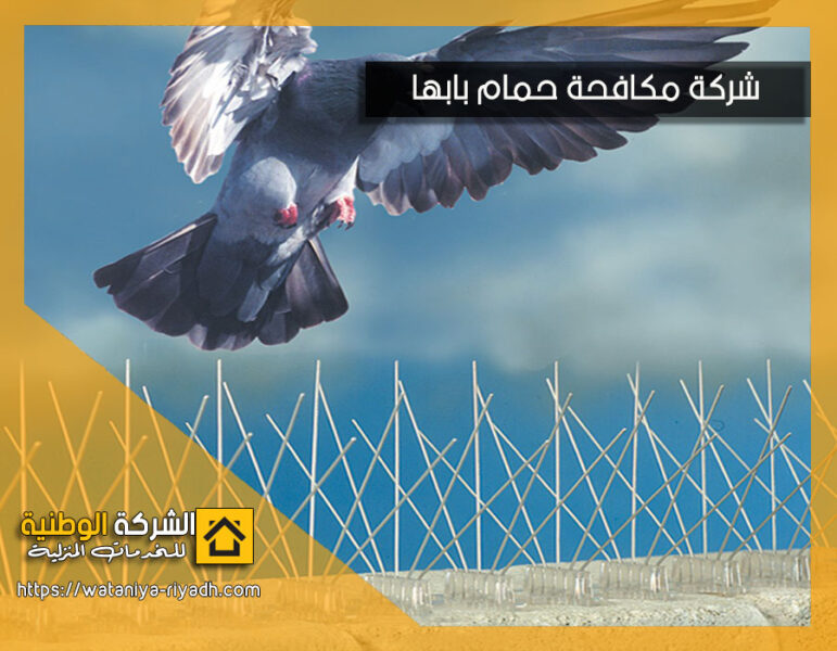 شركة مكافحة حمام بابها