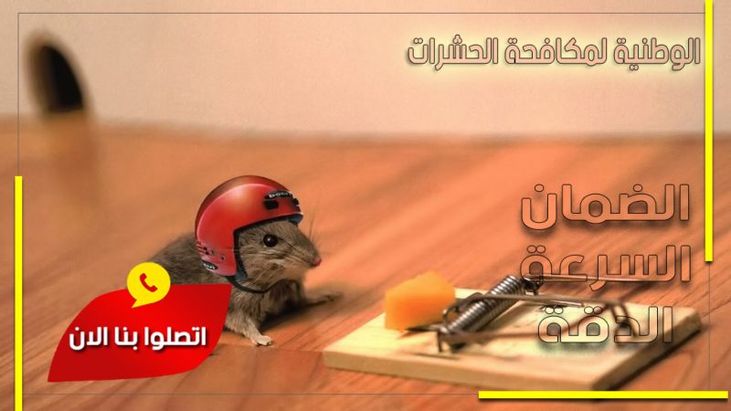 شركة مكافحة الفئران بالرياض