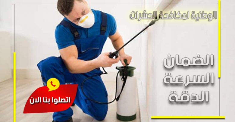 شركة مكافحة حشرات جنوب الرياض