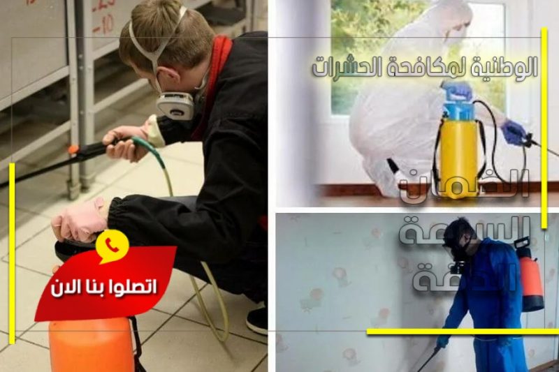 شركة مكافحة حشرات شمال الرياض