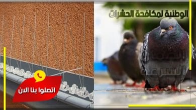شركة مكافحة الحمام بجدة