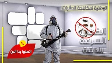 شركة مكافحة حشرات بخميس مشيط