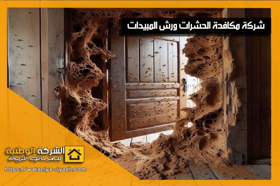 شركة رش النمل الابيض بالرياض تقدم لك افضل الحلول للتخلص من هذه الحشرة المدمرة. اسعار تنافسية وخدمة سريعة. احصل على استشارة مجانية الآن!