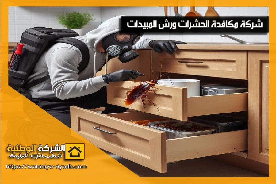 شركة مكافحة الصراصير بالدمام