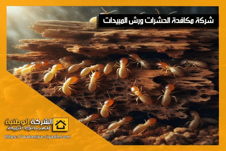 اضرار النمل الابيض وطرق مكافحته