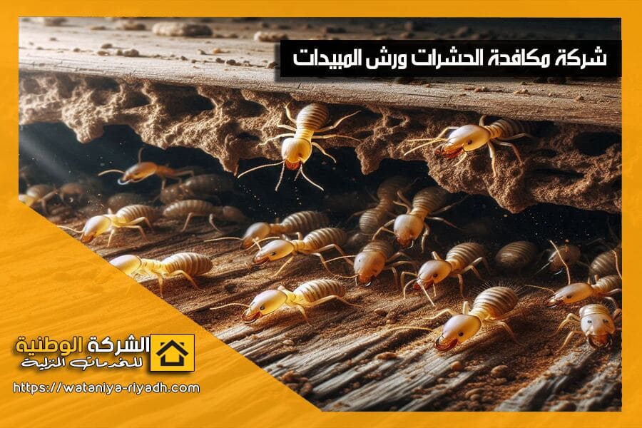 اضرار النمل الابيض وطرق مكافحته