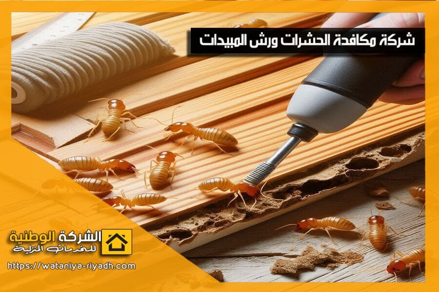 علامات الإصابة بالنمل الأبيض وطرق مكافحته وابادته