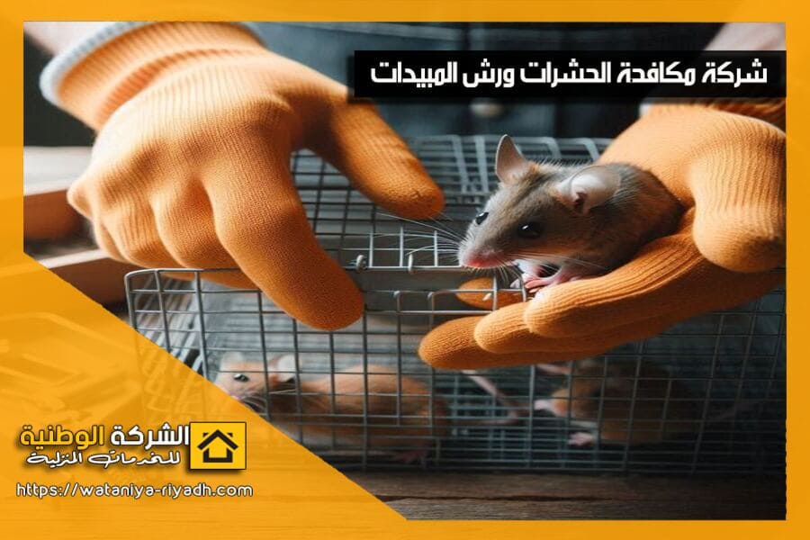 شركة مكافحة الفئران بالرياض
