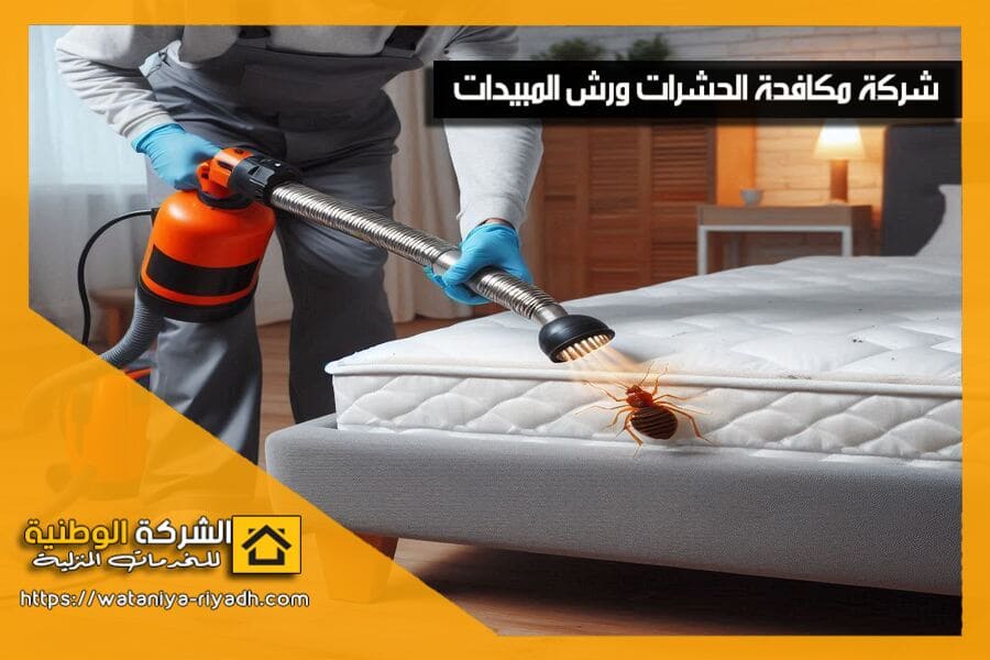 شركة رش البق بالرياض بمبيدات امنه وفعالة