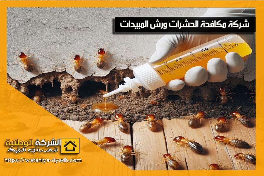 شركة مكافحة النمل الابيض بالرياض