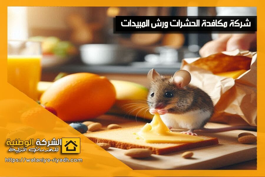ابادة الحشرات والقوارض بشمال الرياض